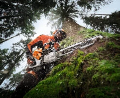 Stihl MS 500¡ Petrol Chainsaw -Stihl 7822